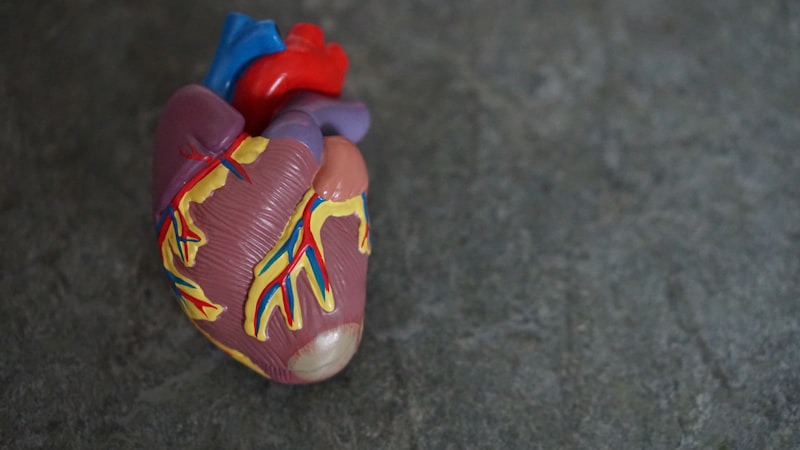 Cardiophobia: Living Beyond the Fear of Heart Failure