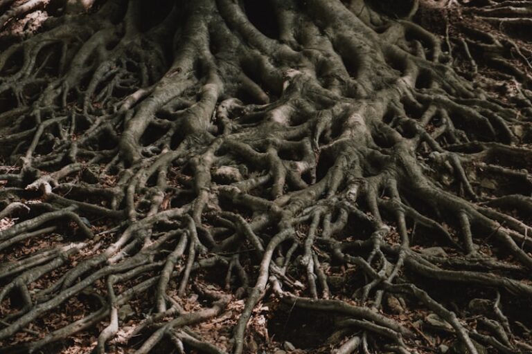 Cartesianism: The Roots of the Modern Mind