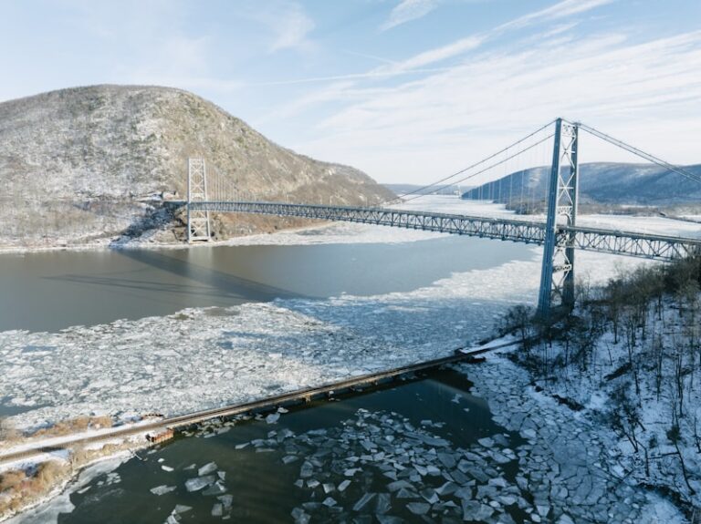 Catalepsy: The Mystery of Frozen States