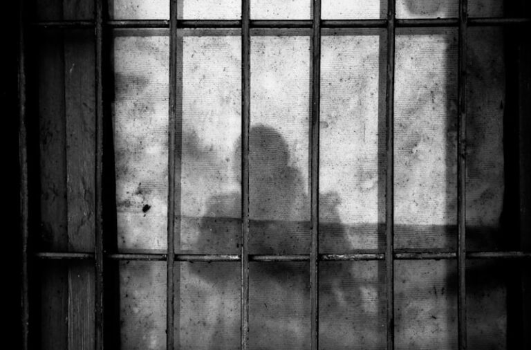Correctional Psychology: Behind Bars and Inside the Mind