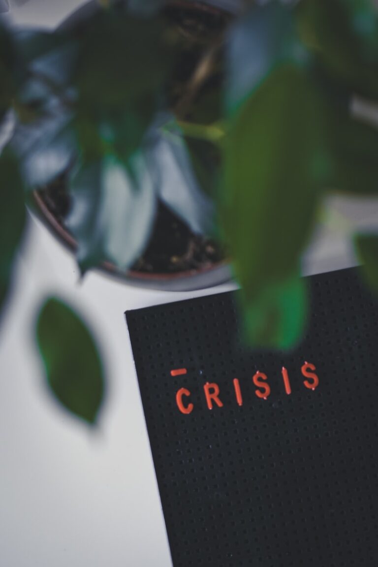 Crisis Intervention: Restoring Stability in Sudden Turmoil