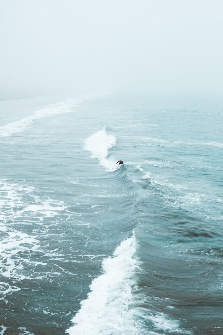 Cyclothymic Personality: Riding the Waves of Mood