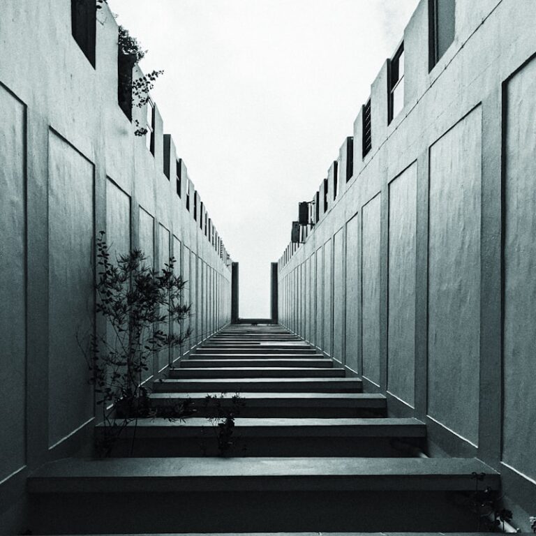 Delusional Systems: Decoding the Architecture of Belief