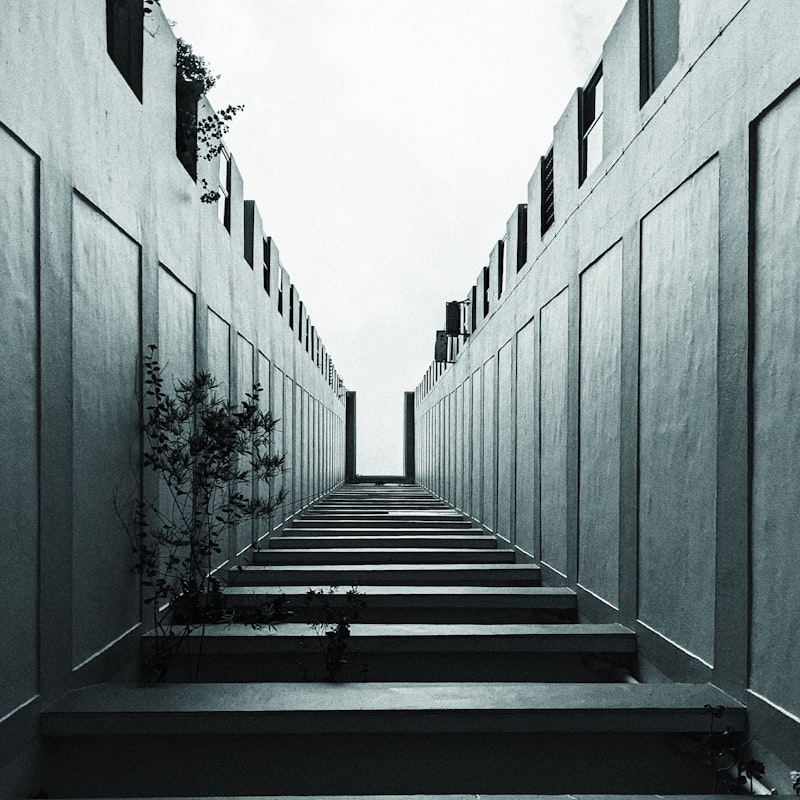 Delusional Systems: Decoding the Architecture of Belief