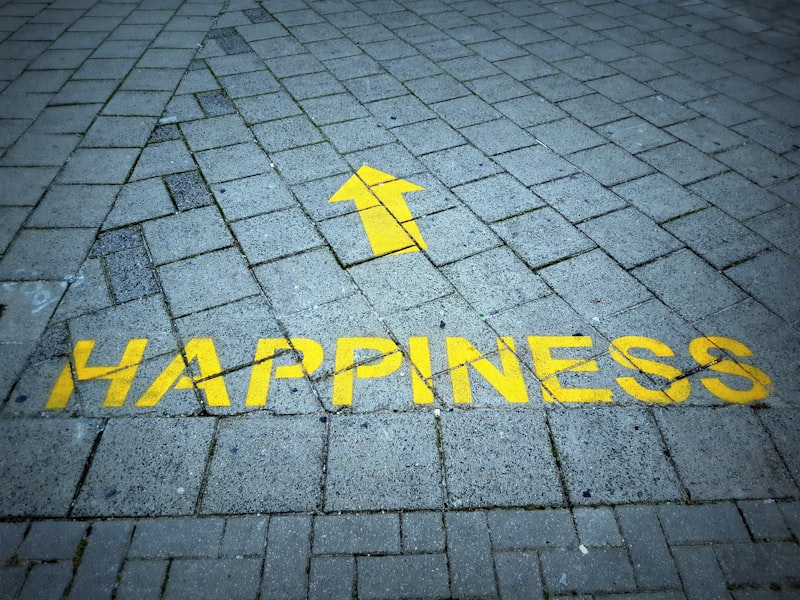 Flourishing: Beyond Happiness to Your Full Potential