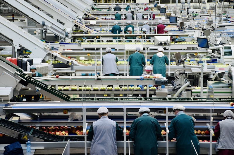 Food Security: Scaling Nutrition through Aeroponic Innovation