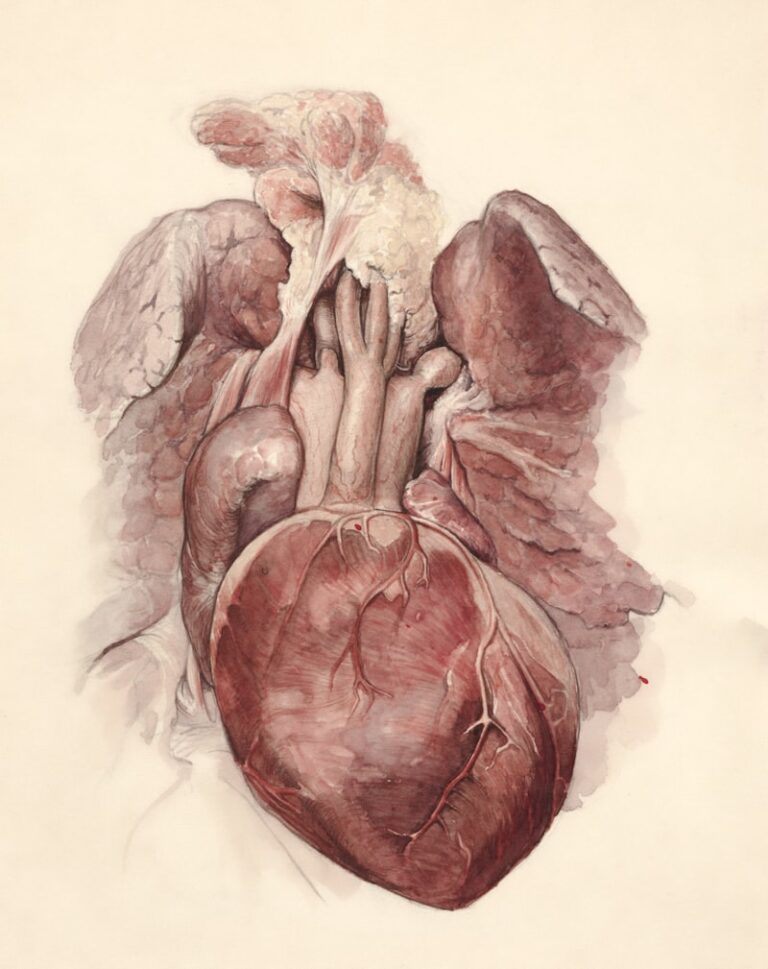 Humanistic Psychoanalysis: Erich Fromm and the Human Heart