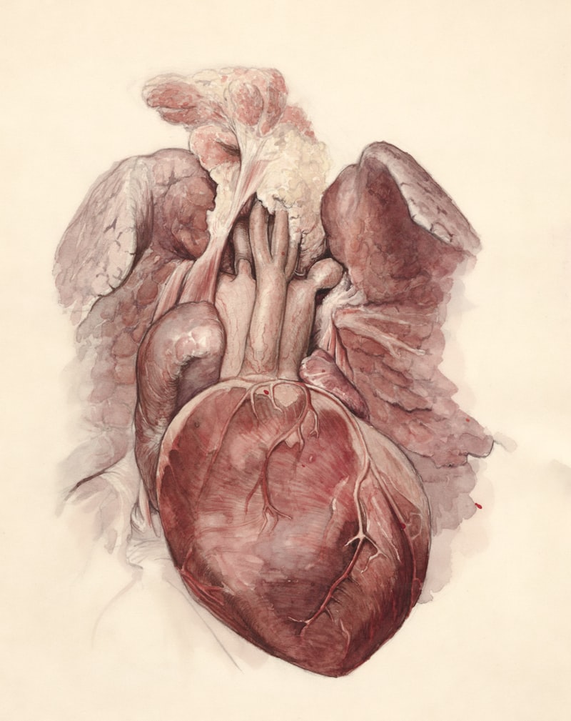 Humanistic Psychoanalysis: Erich Fromm and the Human Heart