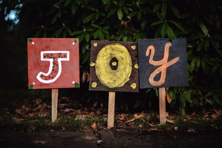 Joie de Vivre: Unlock Your Natural Joy for Life