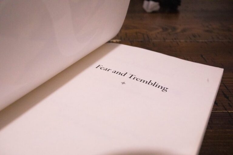 Languishing: The Void Between Surviving and Flourishing