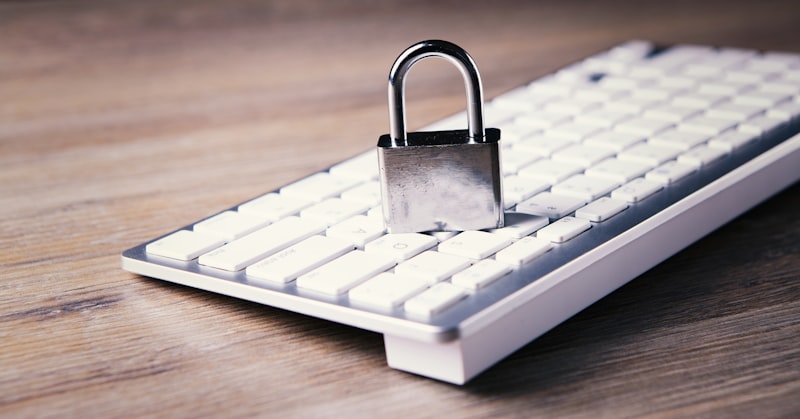 Nesting Psychology: Why We Crave Order and Security