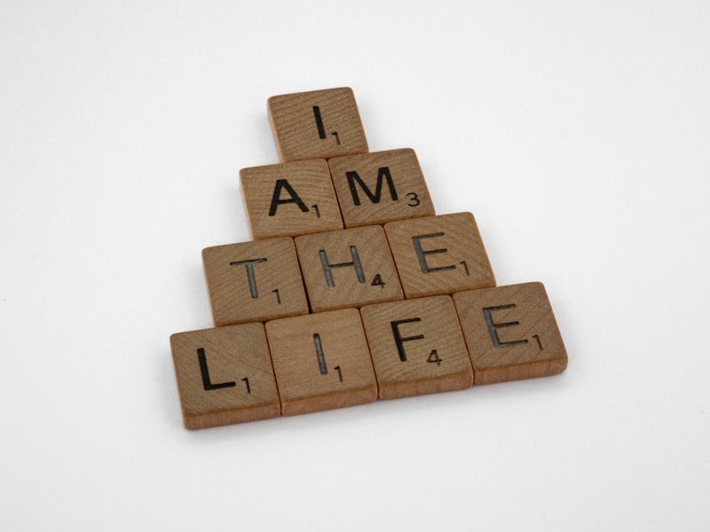 Population Dynamics: Balancing Life and Limits