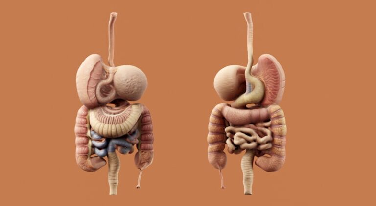 Psychosomatic Colitis: The Gut-Brain Connection Explained
