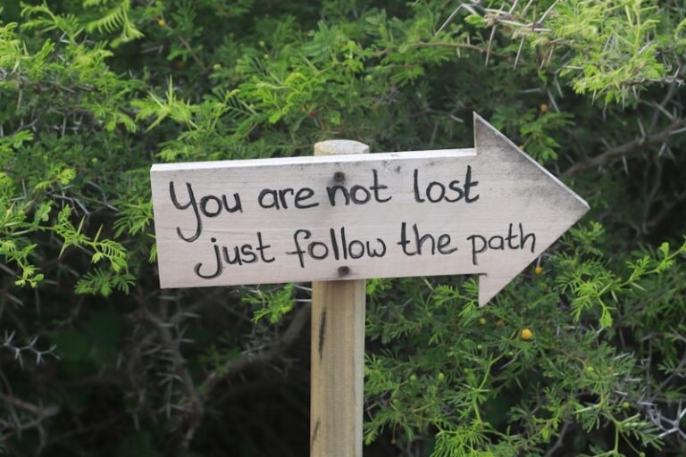 Rational Psychotherapy: Logic as Your Path to Peace