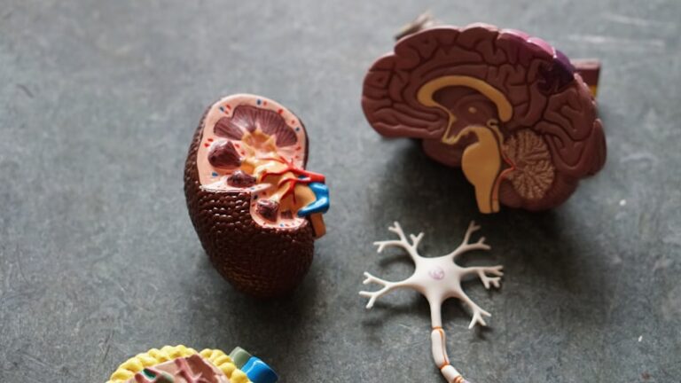 Renal Biomarkers: Decoding Health Through Protein Analysis