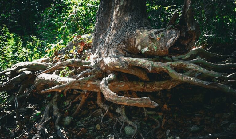 Sociobiology: The Biological Roots of Human Behavior