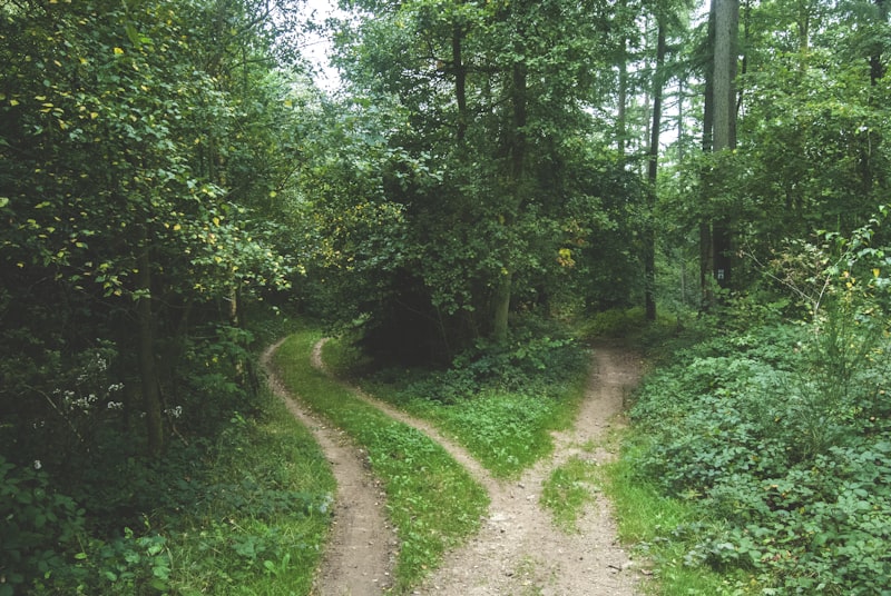 Synesthesia: When Your Senses Cross Paths