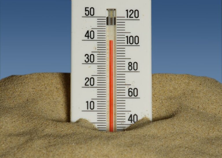 Thermal Sensitivity: How Temperature Shifts Influence Mood