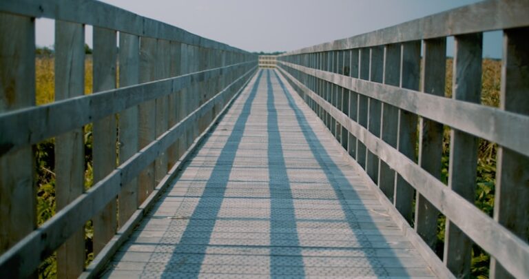 Transitional Employment: Bridging the Path to Success