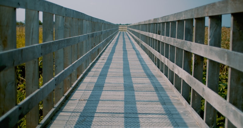 Transitional Employment: Bridging the Path to Success