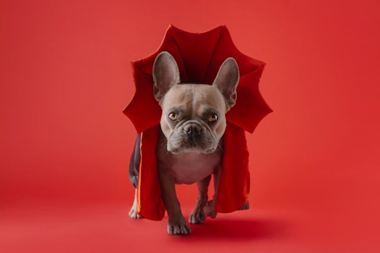 Underdog Psychology: The Hidden Power of the Outsider
