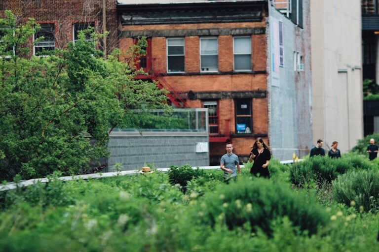 Urban Ecology: How City Life Shapes Animal Behavior
