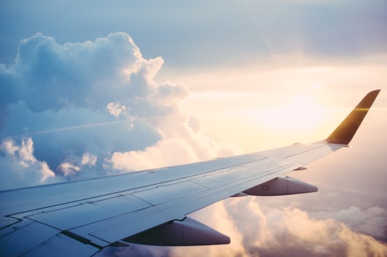 Aviator's Neurasthenia: The Hidden Cost of Flight