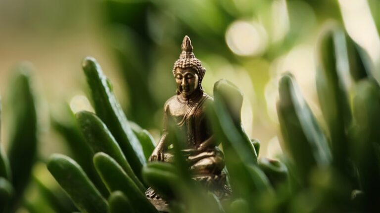 Ayurveda: Ancient Wisdom for Modern Mental Harmony
