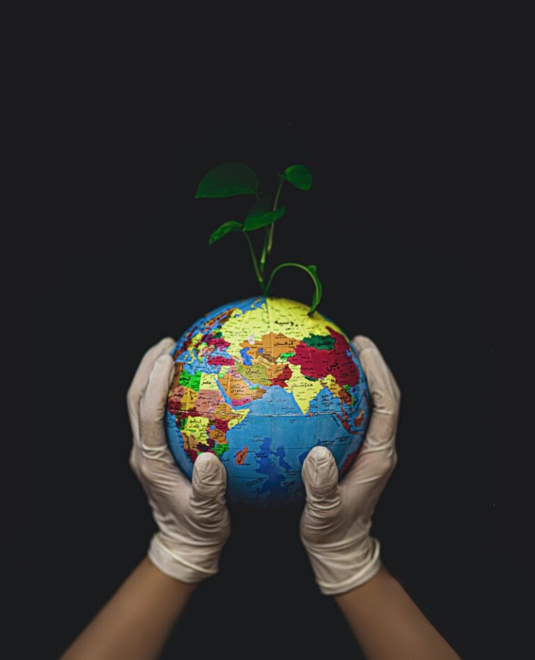 Biological Attachment: Why We Bond to the World