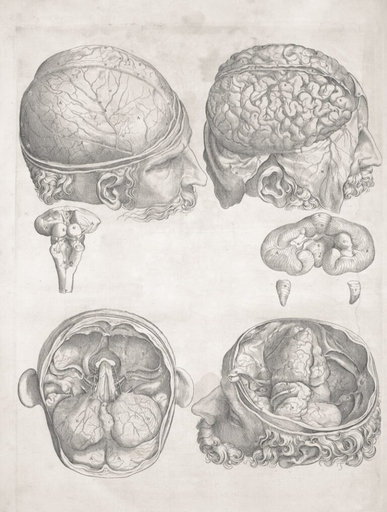 Jean-Martin Charcot: The Architect of Modern Neurology