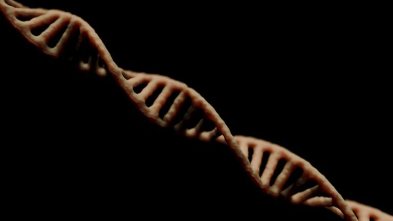 LdFS: Decoding the Rare Genetic Impact on Human Psychology