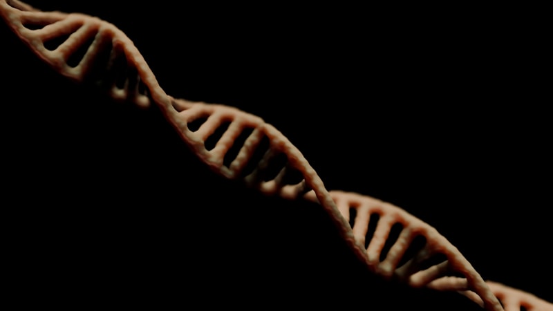 LdFS: Decoding the Rare Genetic Impact on Human Psychology