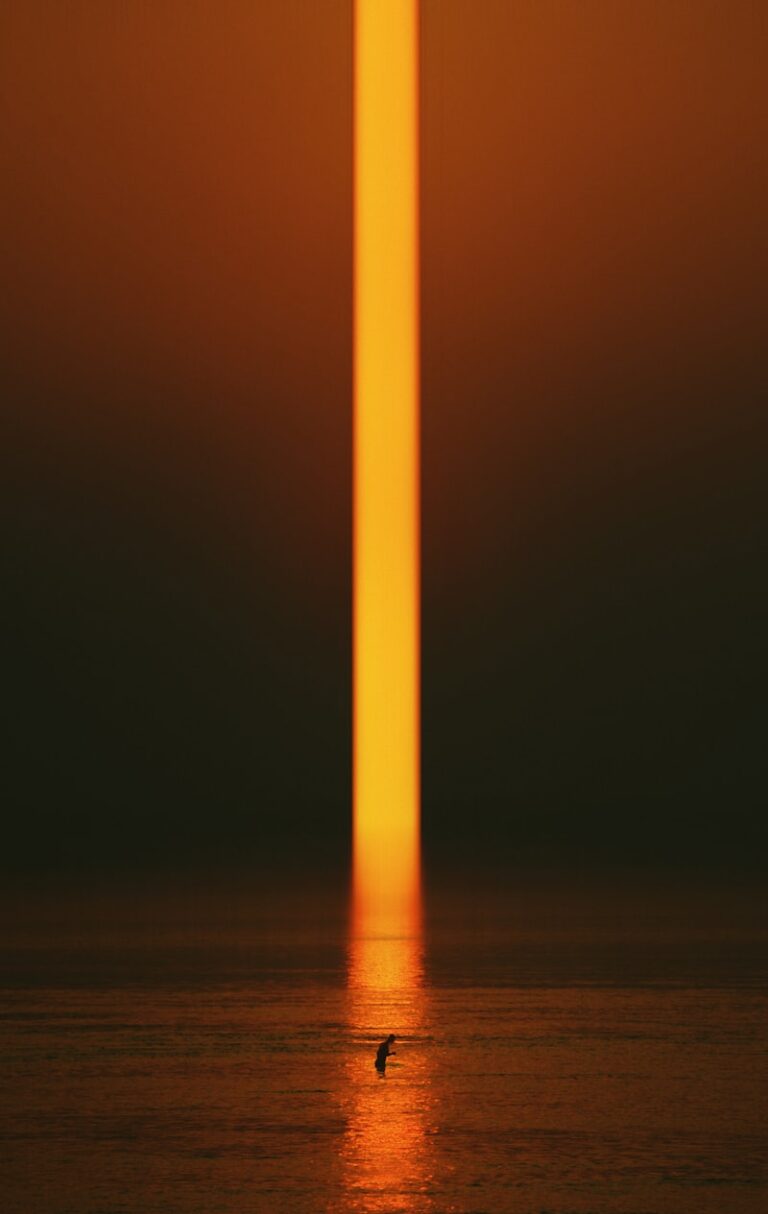 Purkinje Shift: How Light Changes Your Reality