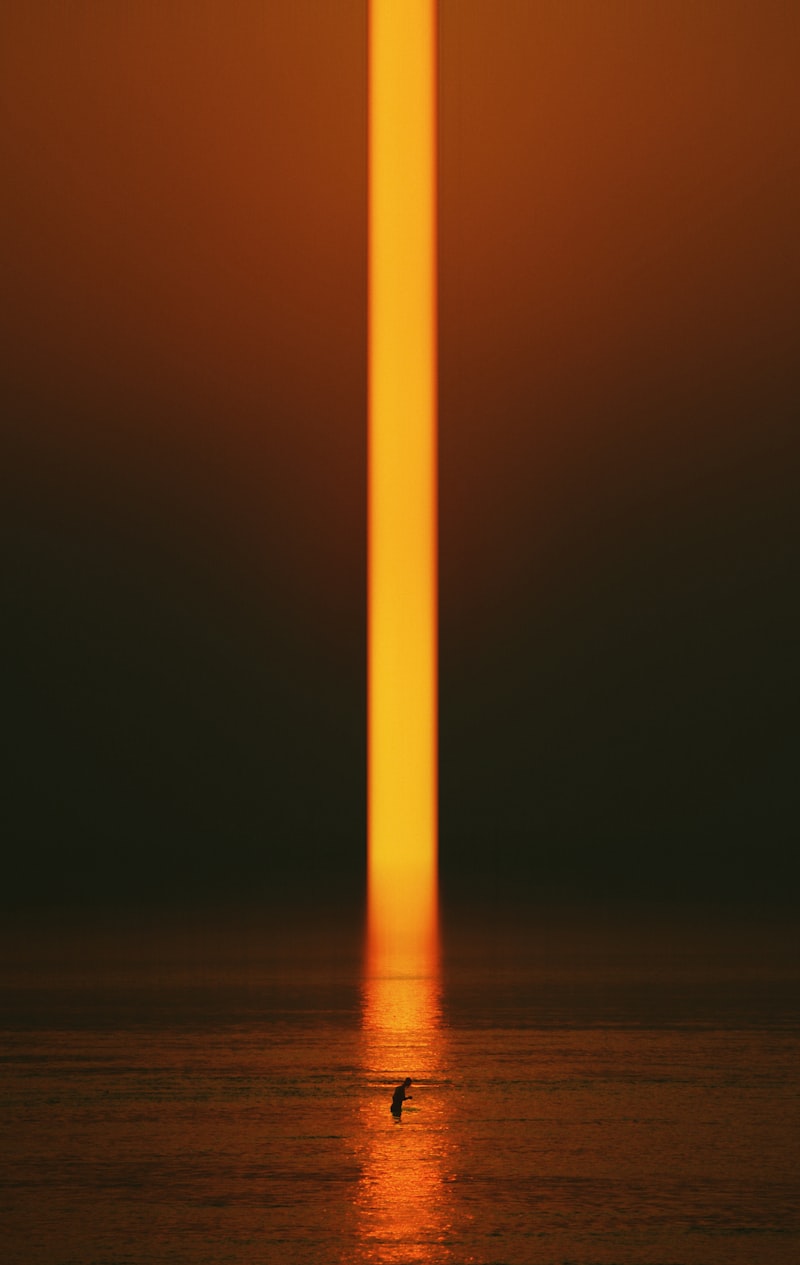 Purkinje Shift: How Light Changes Your Reality