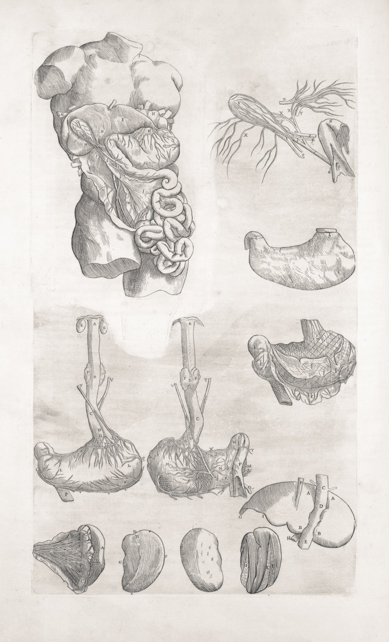 Reproductive Biology: The Conduit of Life and Origin