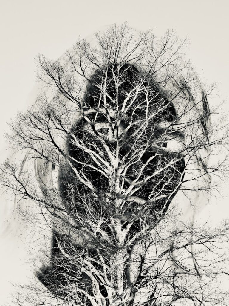 Symbolic Expression Trees: Mapping the Architecture of Thought