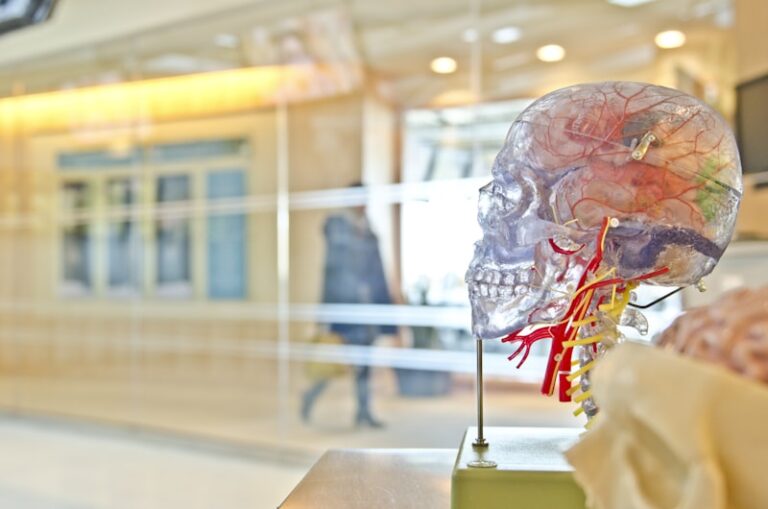 The Medical Model: Healing Minds Through Scientific Logic