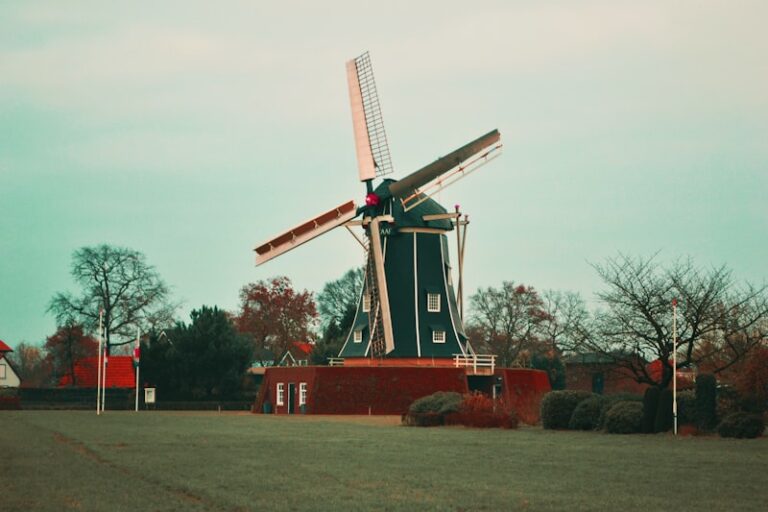 The Windmill Illusion: Motion Perception Exposed