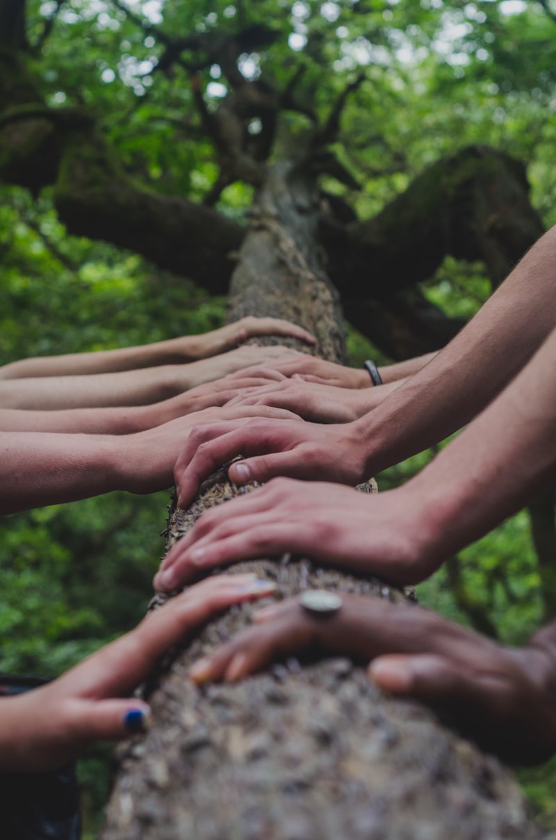 Therapeutic Communities: Healing Through Shared Growth