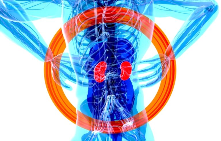 Urology: The Psychology Behind Your Urinary Health