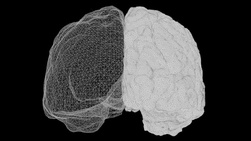 Cognitive Modularity: How Your Brain Organizes Reality