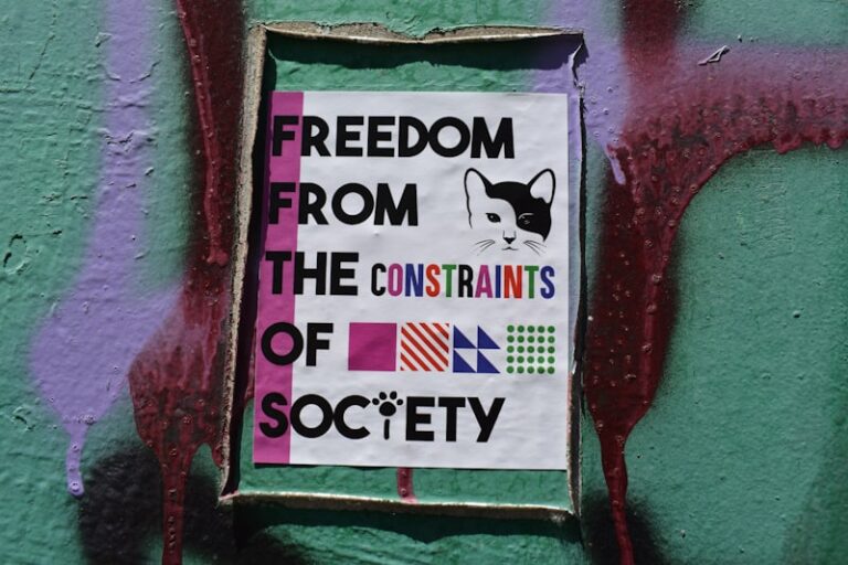 Constructive Alternativism: Reshaping Our Social Reality