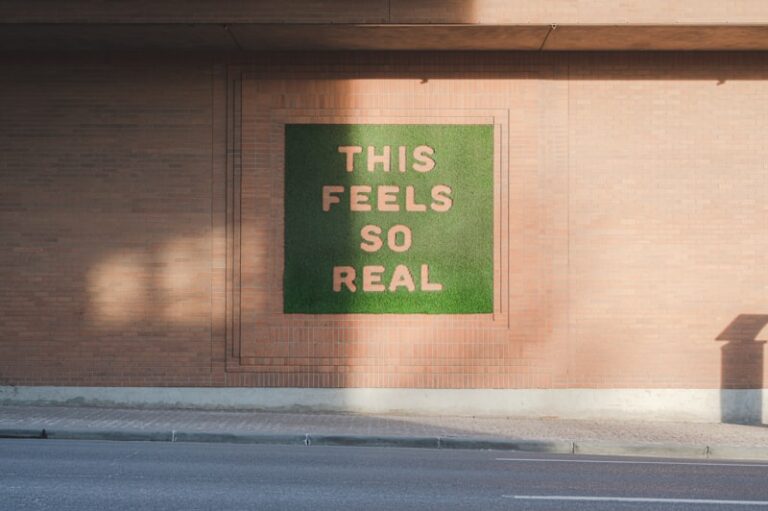 Delusional Misidentification: When Reality Feels Like a Lie