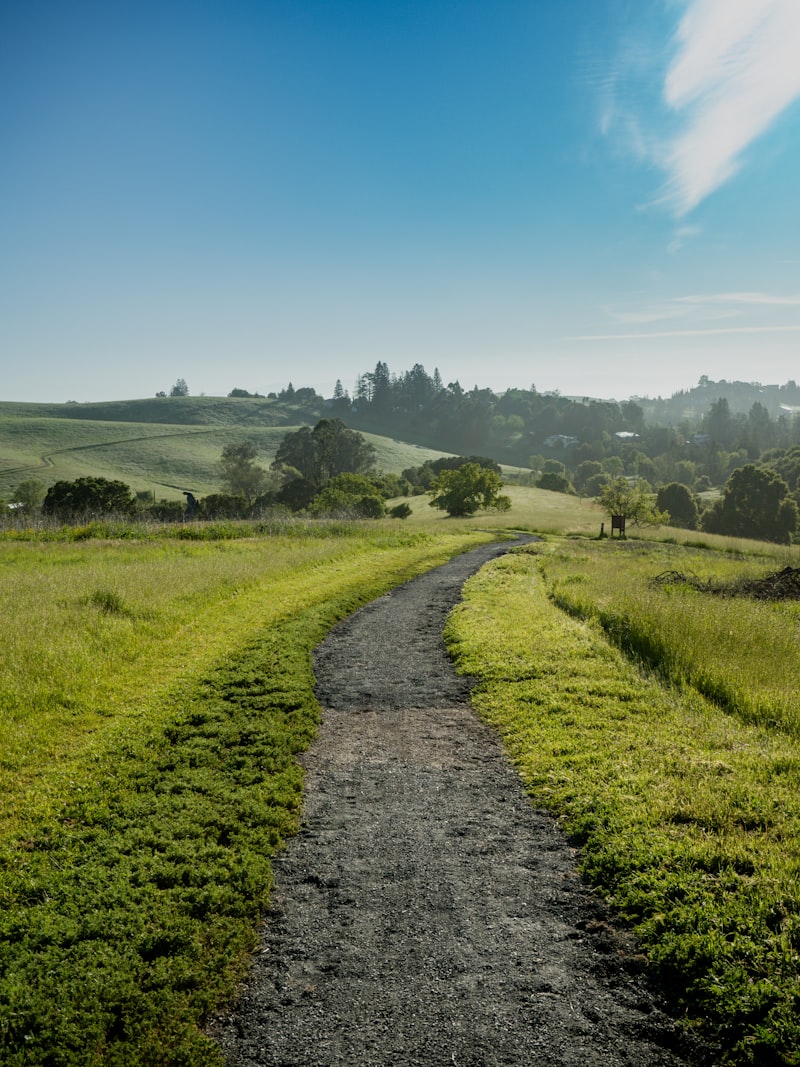 Ecobehavioral Assessment: Mapping Your Path to Wellness