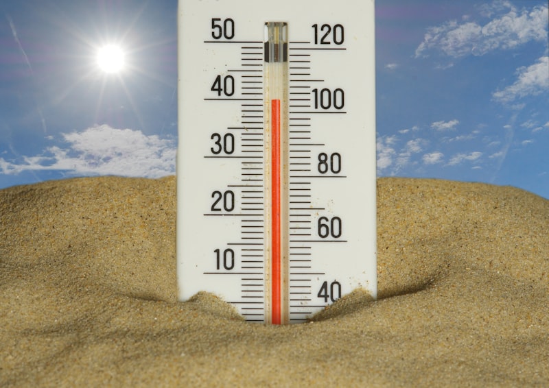 Heat Stress: How Environmental Factors Shape Human Behavior