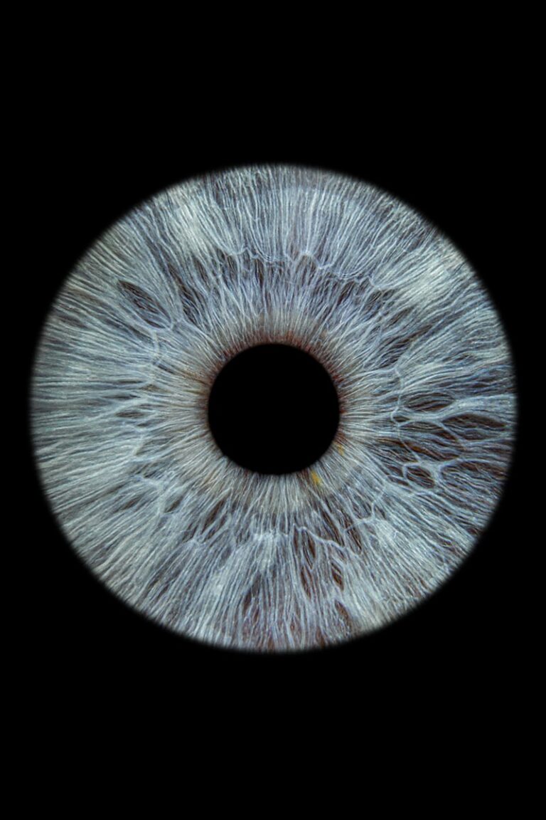 Monocular Vision: Understanding How One Eye Shapes Reality