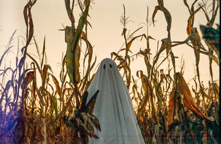 Ortgeist: Folklore and the Psychology of Harvest Spirits