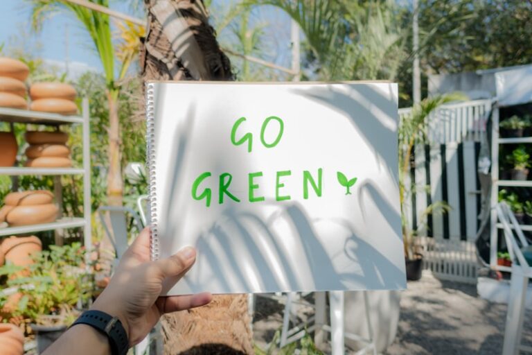 Pro-Environmental Behavior: Why We Choose to Go Green