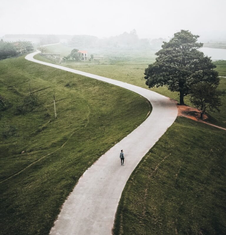 Protean Careers: Mastering Your Ever-Changing Path