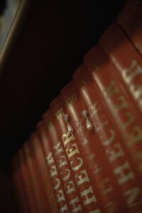 Schaffer Collaterals: Unlocking the Secrets of Memory